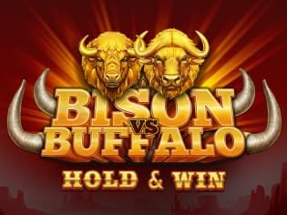 Bison vs Buffalo screenshot
